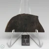 Dhofar 020 Meteorite 8.3g