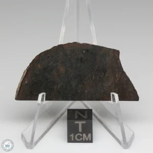 Dhofar 020 Meteorite 8.3g