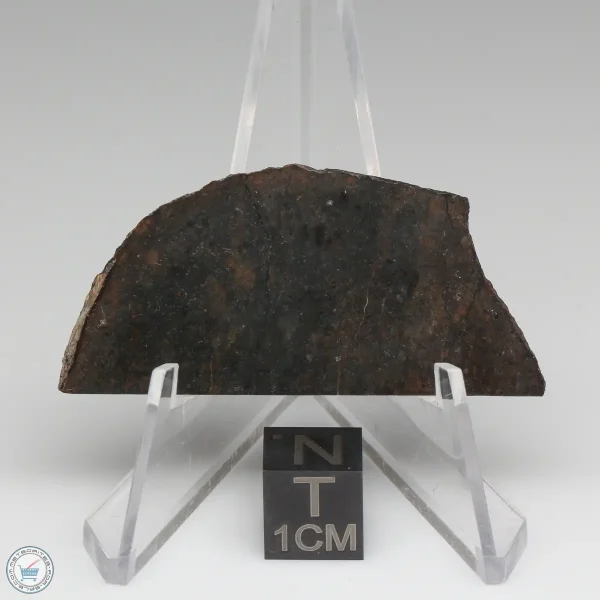 Dhofar 020 Meteorite 8.3g
