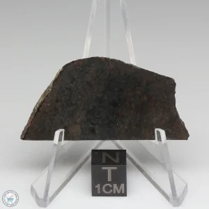 Dhofar 020 Meteorite 8.3g
