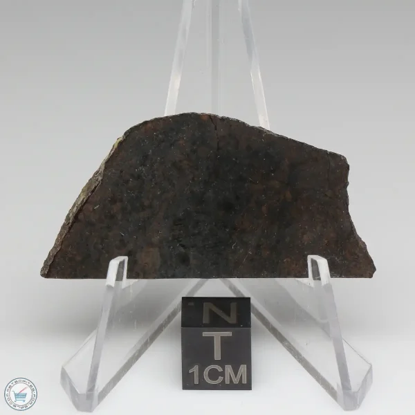 Dhofar 020 Meteorite 8.3g