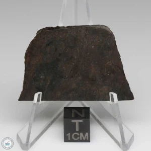 Dhofar 020 Meteorite 10.2g
