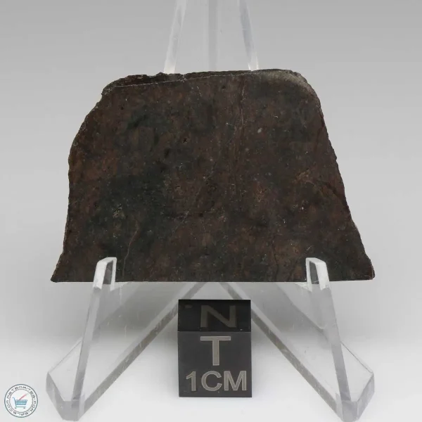 Dhofar 020 Meteorite 10.2g
