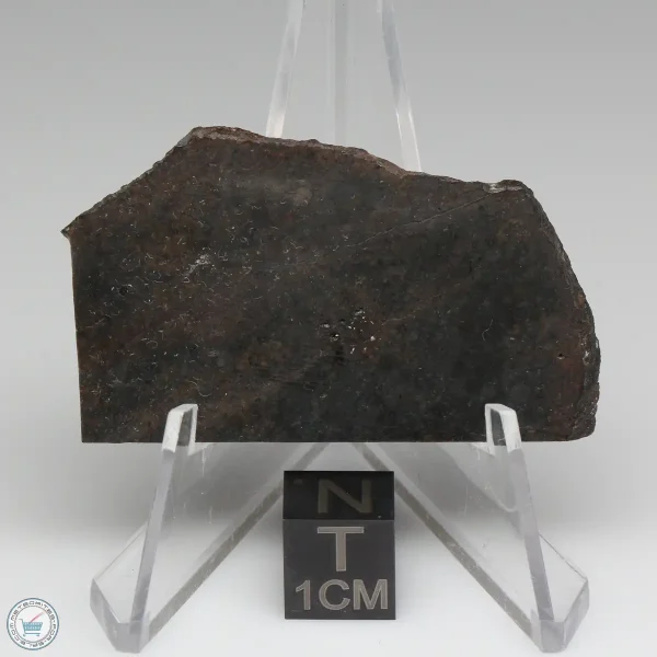 Dhofar 020 Meteorite 13.0g