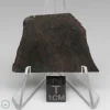 Dhofar 020 Meteorite 11.9g
