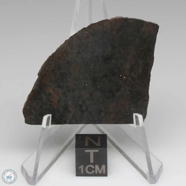 Dhofar 020 Meteorite 11.2g