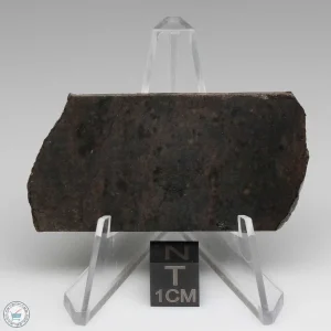 Dhofar 020 Meteorite 14.7g