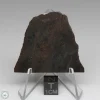 Dhofar 020 Meteorite 14.5g