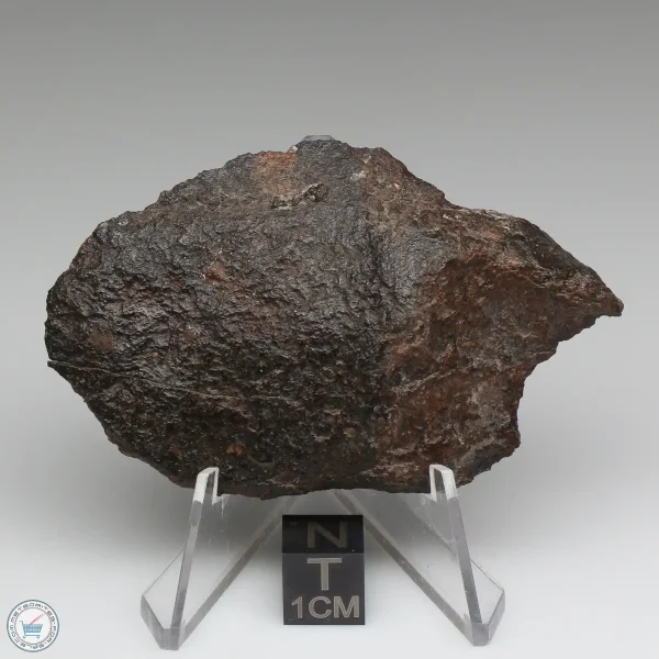 Dhofar 020 Meteorite 31.0g