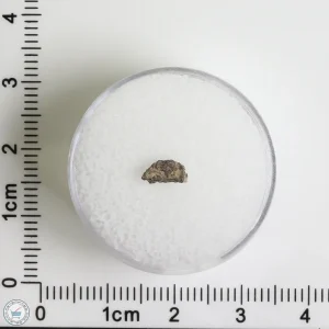 Grapevine Mesa Meteorite 0.08g