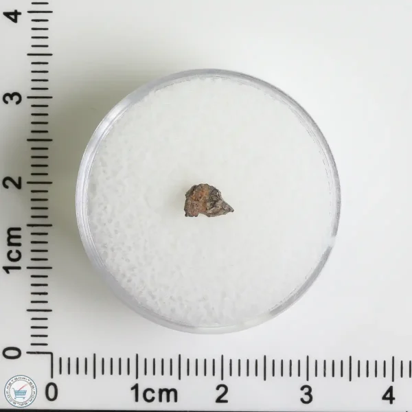 Grapevine Mesa Meteorite 0.09g