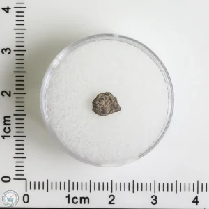 Grapevine Mesa Meteorite 0.15g