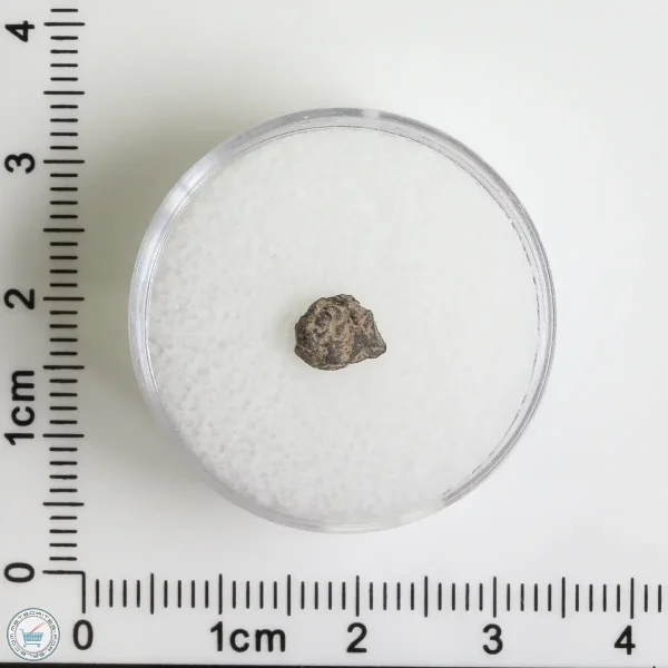 Grapevine Mesa Meteorite 0.15g