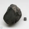 Muong Nong Tektite Polished 374g