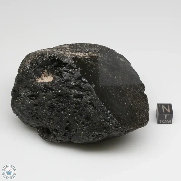Muong Nong Tektite Polished 374g
