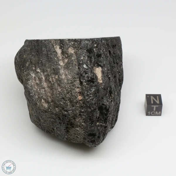 Muong Nong Tektite Polished 374g