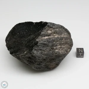 Muong Nong Tektite Polished 374g