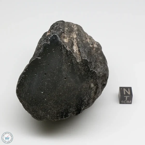 Muong Nong Tektite Polished 374g