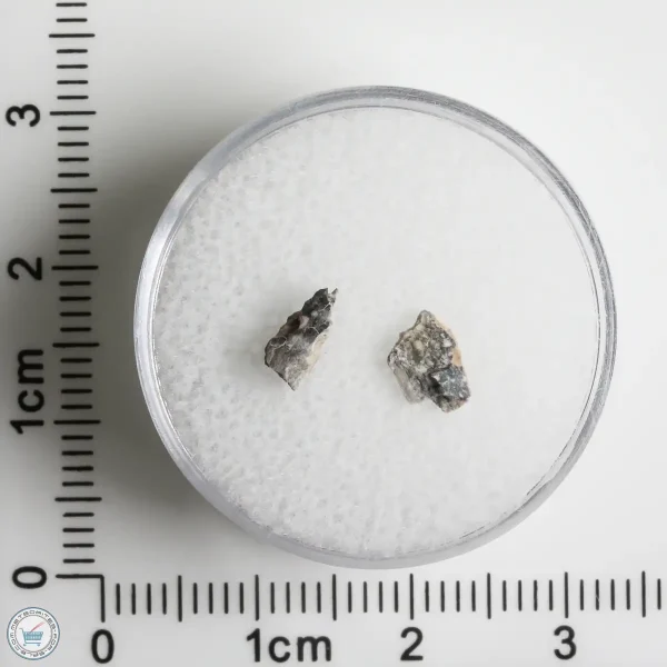 NWA 11898 Lunar Meteorite 0.09g
