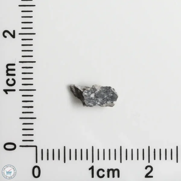 NWA 11898 Lunar Meteorite 0.11g