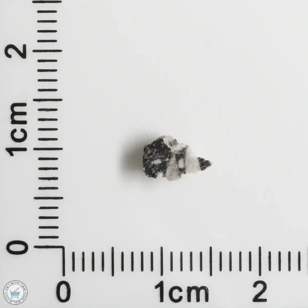 NWA 11898 Lunar Meteorite 0.10g