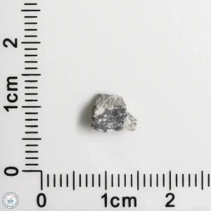 NWA 11898 Lunar Meteorite 0.15g