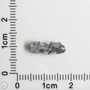 NWA 11898 Lunar Meteorite 0.22g