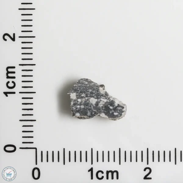 NWA 11898 Lunar Meteorite 0.28g