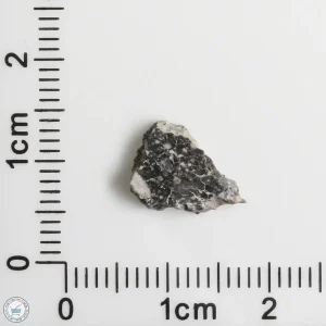 NWA 11898 Lunar Meteorite 0.37g