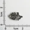 NWA 11898 Lunar Meteorite 0.58g