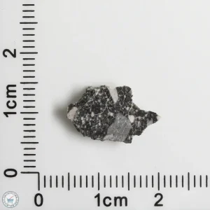 NWA 11898 Lunar Meteorite 0.58g