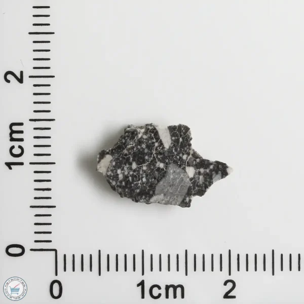 NWA 11898 Lunar Meteorite 0.58g