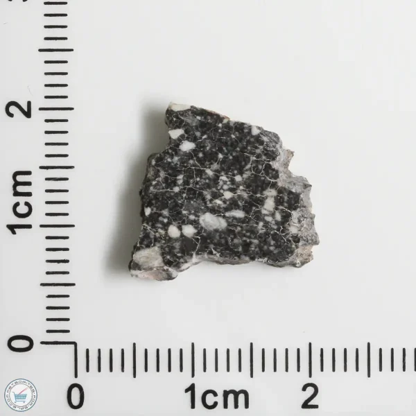 NWA 11898 Lunar Meteorite 1.04g