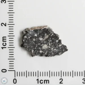 NWA 11898 Lunar Meteorite 1.09g