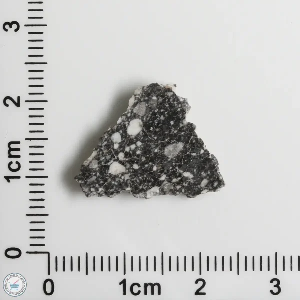 NWA 11898 Lunar Meteorite 1.12g