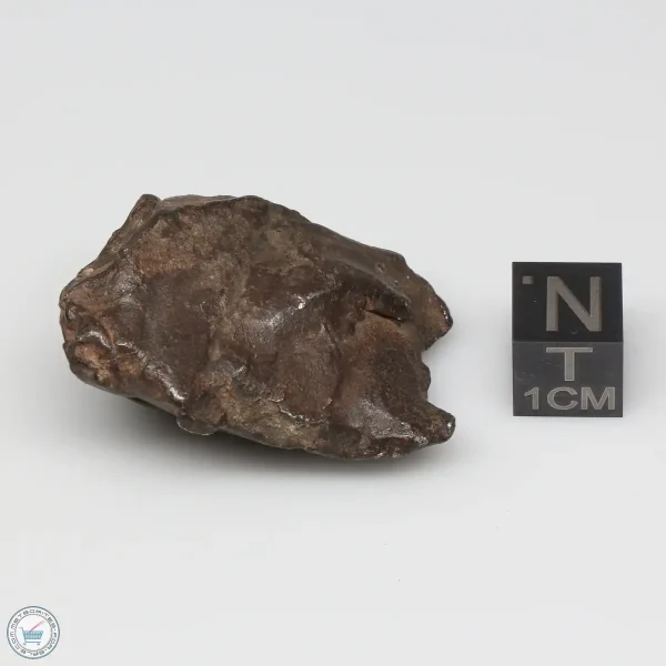 Gebel Kamil Iron Meteorite 57.9g