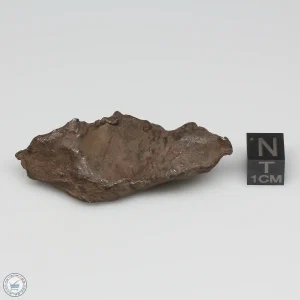 Gebel Kamil Iron Meteorite 48.6g
