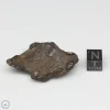 Gebel Kamil Iron Meteorite 45.5g