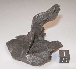 Sikhote-Alin Iron Meteorite Shrapnel