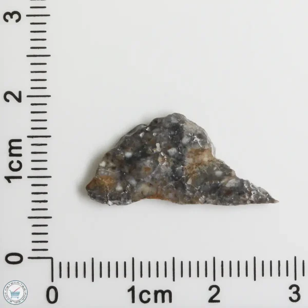 Laâyoune 002 Lunar Meteorite 0.54g