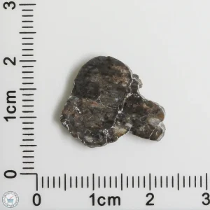 Laâyoune 002 Lunar Meteorite 0.79g