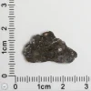 Laâyoune 002 Lunar Meteorite 0.45g