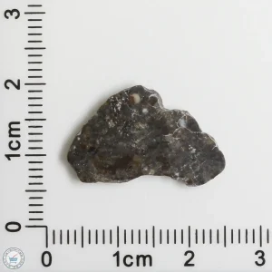 Laâyoune 002 Lunar Meteorite 0.72g