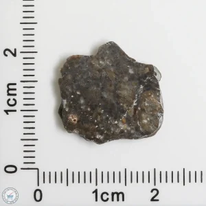 Laâyoune 002 Lunar Meteorite 0.82g