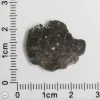 Laâyoune 002 Lunar Meteorite 1.02g