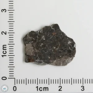 Laâyoune 002 Lunar Meteorite 1.31g