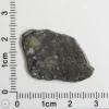 Laâyoune 002 Lunar Meteorite 1.75g