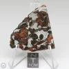 Sericho Pallasite Meteorite 15.8g