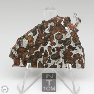 Sericho Pallasite Meteorite 22.0g