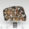 Sericho Pallasite Meteorite 25.5g